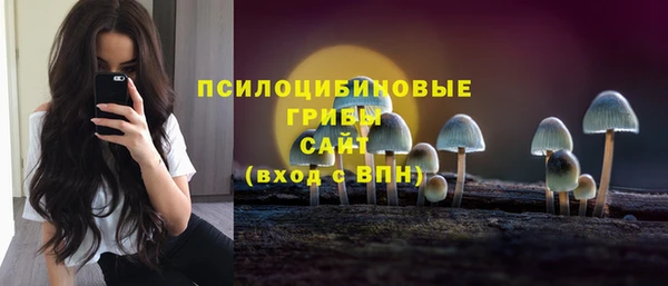2c-b Алексеевка