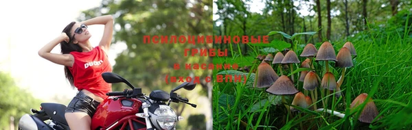 2c-b Алексеевка